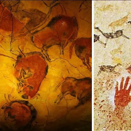 Armano Rural G-10069 * Tama