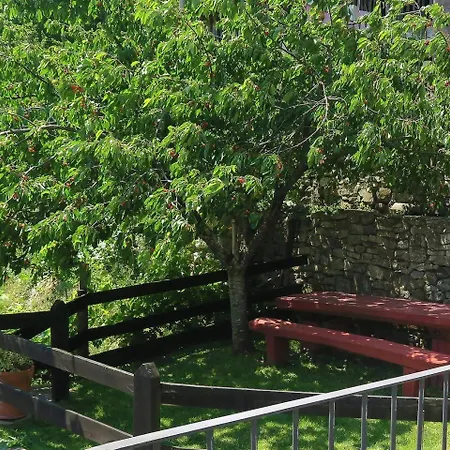 Armano Rural G-10069 *