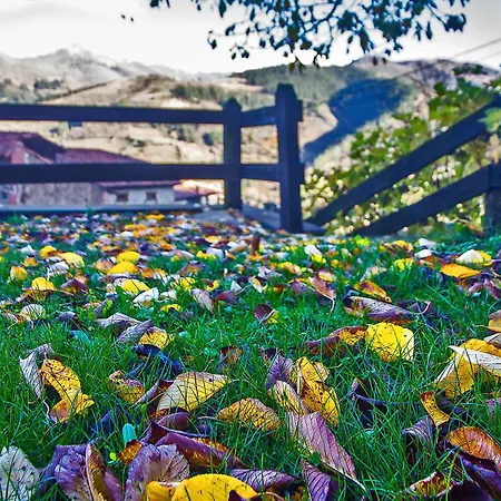 Armano Rural G-10069 Tama