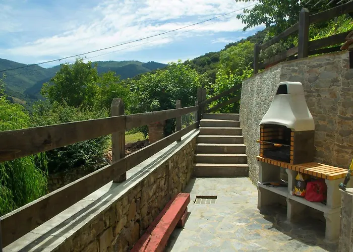 Armano Rural G-10069 * Tama