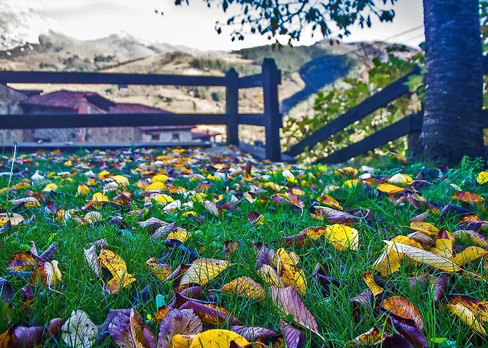 Armano Rural G-10069 타마