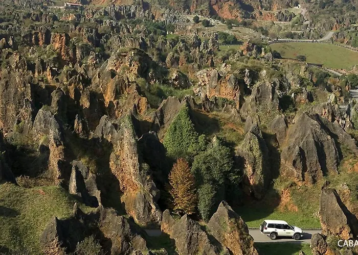 Armano Rural G-10069 Tama