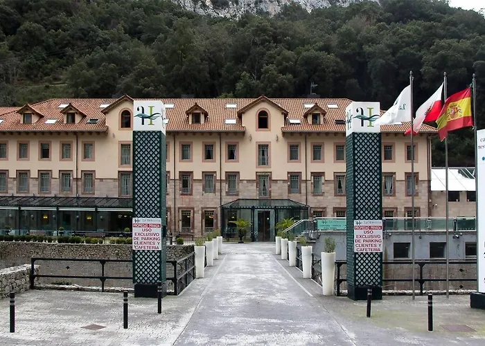 Armano Rural G-10069 * Tama